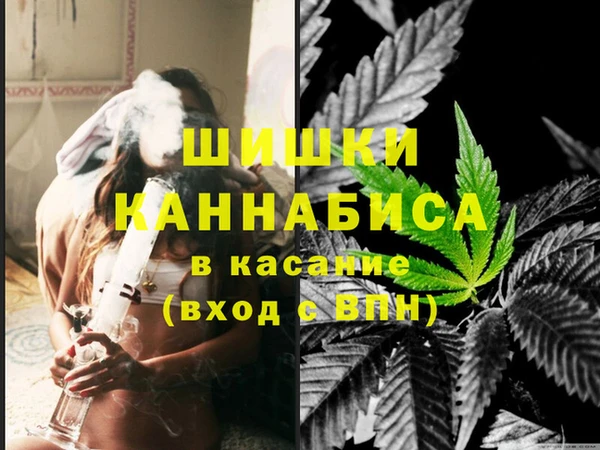 прущие крисы Белокуриха
