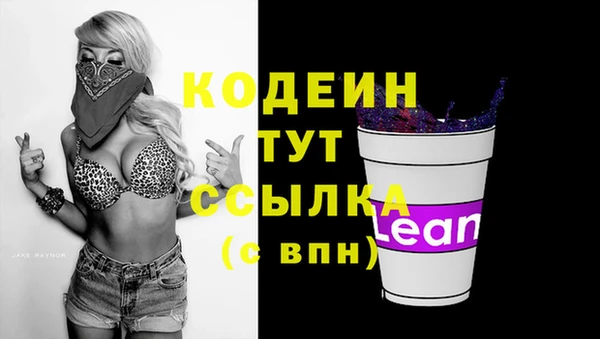 сатива Беломорск