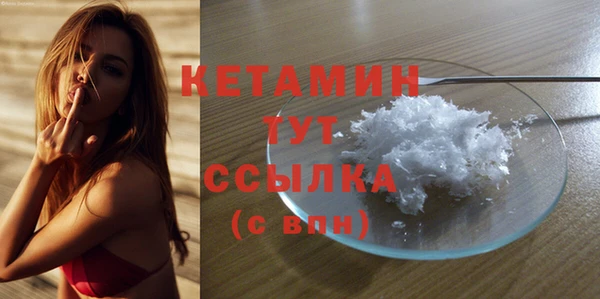сатива Беломорск