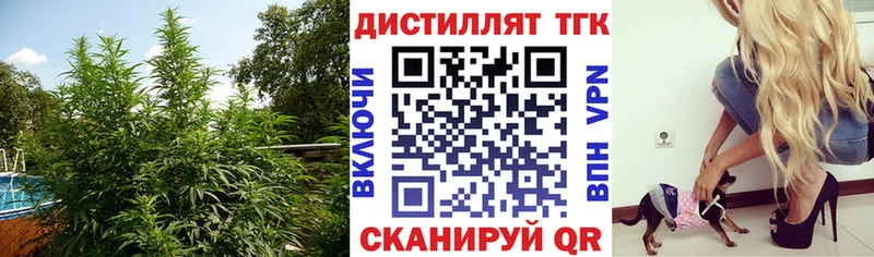 Купить  Жуков  Дистиллят ТГК гашишное масло 