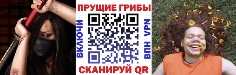 Купить закладки  Жуков  Псилоцибиновые грибы Cubensis 